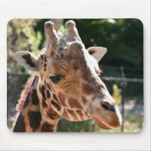 Girafe de Baringo Tapis De Souris