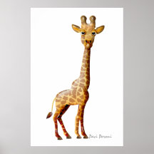 Girafe - SRF Affiche