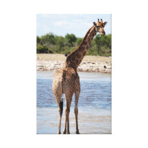 Girafe Toile Tendue Sur Châssis