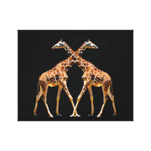 GIRAFES 61A DANS LE DÉPASSEMENT sur le noir (11X14 Toiles Tendues