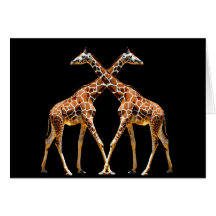 GIRAFES DANS LE DÉPASSEMENT CARTE DE VŒUX