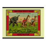 Girafes et éléphant carte postale