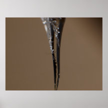 Glaçon Posters