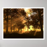 Glenwood Affiches