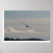 Glissement de mouette posters