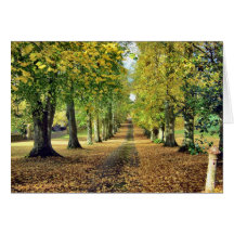 Gloire d'automne cartes