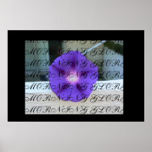 Gloire de matin poster