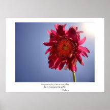 Gloire rose de fleur posters