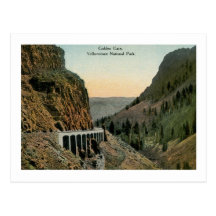 Golden Gate, parc national de Yellowstone Carte Postale