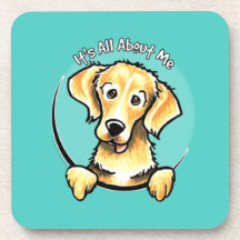 Golden retriever IAAM Sous-bock