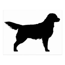 Golden retriever (noir) cartes postales