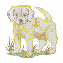 Golden retriever polos brodés
