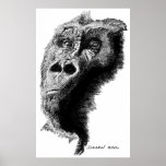 Gorille Affiches