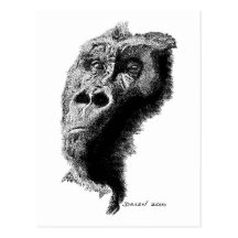 Gorille Carte Postale