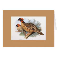 Gould - Dr. Cabots Horned Pheasant Card Cartes De Vœux