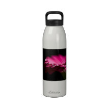 Goutte de l'eau sur le Gerbera Bouteille D'eau Réutilisable