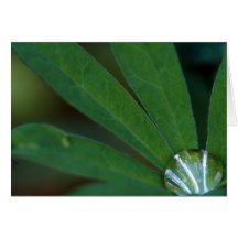 Goutte de pluie carte de vœux