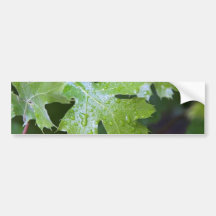 Gouttes de pluie de feuille de feuille adhésifs pour voiture