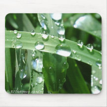 Gouttes de pluie sur des lames d'herbe tapis de souris