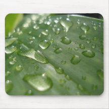 gouttes de pluie sur une feuille tapis de souris