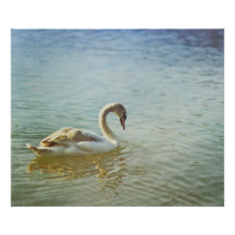 Gracieux Photos Sur Toile