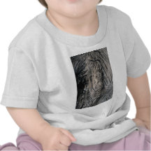 Grain d'un arbre d'ironwood, Afrique du Sud T-shirt