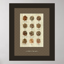 Grains de café - affiche