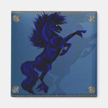Grand aimant noir d'étalon