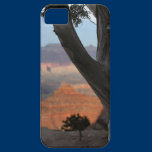 Grand Canyon Haze coques case-mate