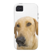 Grand cas de l'iPhone 4 de Labrador de jaune de ne Étui iPhone 4