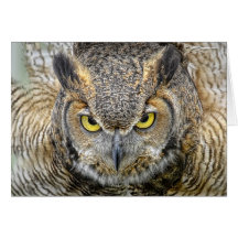 Grand hibou à cornes après des yeux carte de vœux