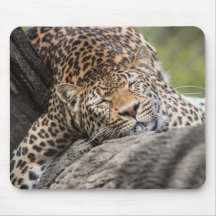Grand léopard Mousepad faisant la sieste Tapis De Souris