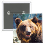 Grand ours de Brown Badge