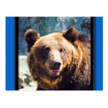 Grand ours de Brown Cartes Postales