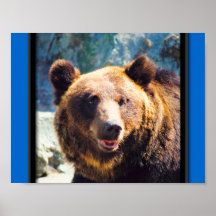 Grand ours de Brown Posters