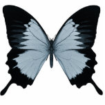 Grand papillon bleu et noir découpages en acrylique
