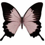 Grand papillon rouge et noir découpages en acrylique