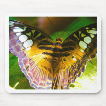 Grand papillon tapis de souris