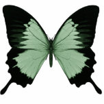Grand papillon vert et noir découpages en acrylique