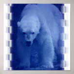 Grande affiche d'ours blanc