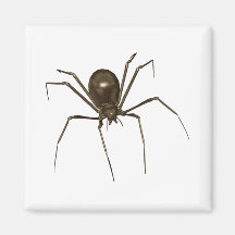 Grande araignée d'image tramée de Brown 3D Aimant