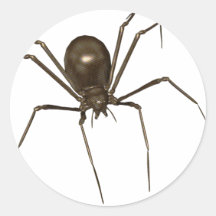 Grande araignée d'image tramée de Brown 3D Autocollant Rond