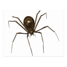 Grande araignée d'image tramée de Brown 3D Carte Postale