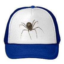 Grande araignée d'image tramée de Brown 3D Casquettes
