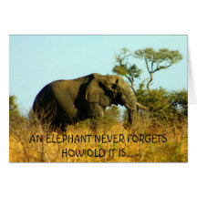 Grande carte d'Ellie