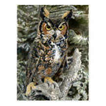 Grande carte postale de hibou à cornes
