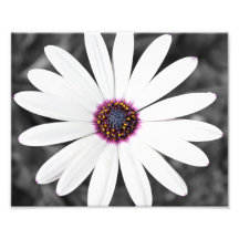 Grande fleur art photographique
