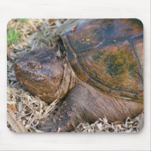 Grande tortue dans l'herbe tapis de souris