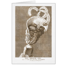 Grands cheveux du 18ème siècle en Ohio - caricatur Carte