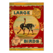 Grands oiseaux cartes